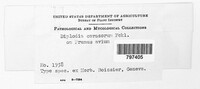 Image Associated With the Occurence